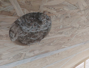 Zateplení dřevostavby pomocí celulózové foukané izolace